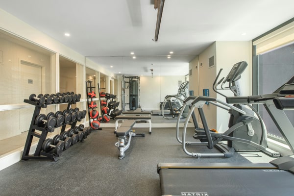 Attrezzature per Home Gym / Palestre in casa