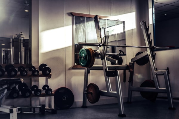 Manubri e Rastrelliere Professionali | Organizzazione e Qualità per la Tua Palestra