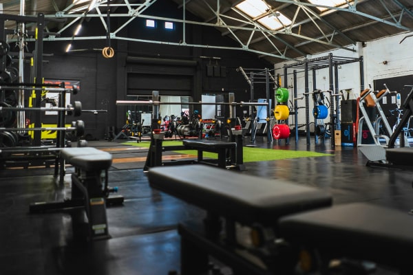 Panche Professionali per Palestra | Panche Regolabili, Piane e Multifunzione