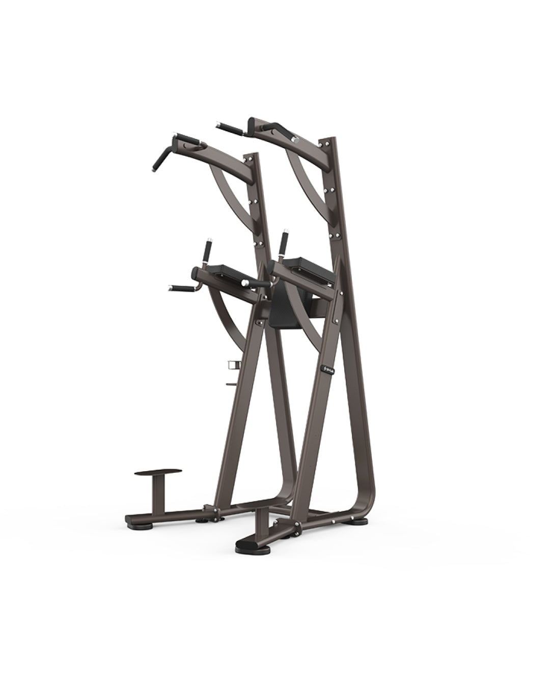 Chin Dip Leg Raise Station