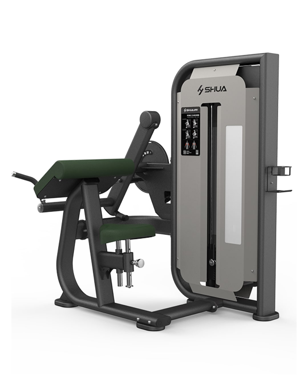 Seated Biceps Curl/Triceps Press Shua Fitness